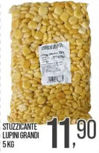 Cash pro Stuzzicante lupini grandi offerta
