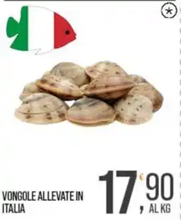Cash pro Vongole allevate in Italia offerta