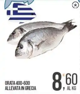 Cash pro Orata offerta