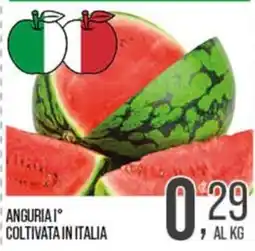Cash pro Anguria I° coltivata in Italia offerta