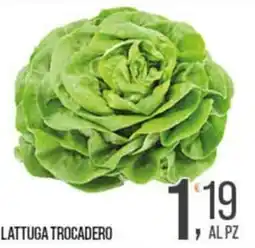 Cash pro Lattuga Trocadero offerta