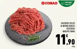Conad Tuday Macinato scelto di bovino adulto Percorso Qualità Conad offerta