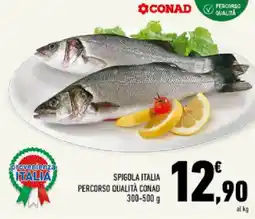 Conad Tuday Spigola Italia offerta