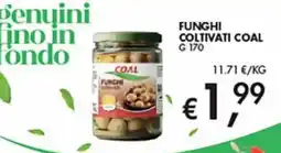 Superstore Coal Funghi coltivati Coal offerta