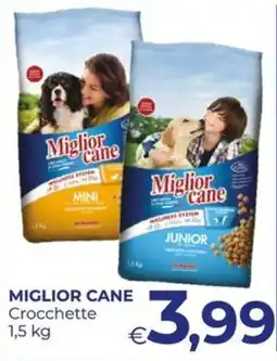 Pilato Miglior Cane Crocchette offerta