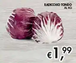 Superstore Coal Radicchio Tondo offerta