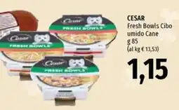 Emi Supermercati Cesar fresh bowls cibo umido cane offerta