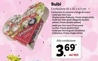 Lidl Bulbi 30x30x4,3 cm offerta