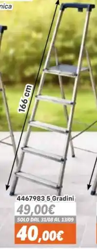 Orizzonte Facal Scala Delta 5 Gradini offerta