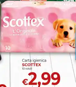 Maxi Nonna Isa Scottex Carta igienica offerta
