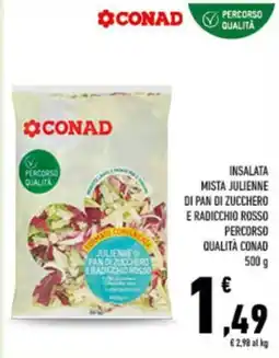 Conad City Insalata mista julienne di pan di zucchero e radicchio rosso offerta