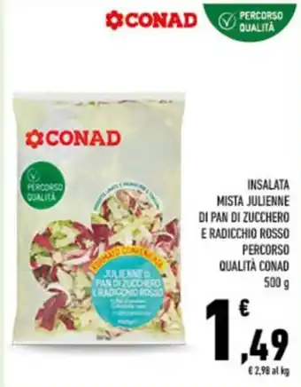 Insalata mista julienne di pan di zucchero e radicchio rosso