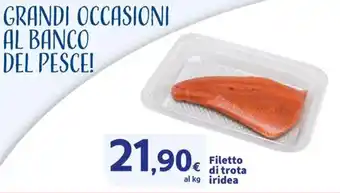 Filetto di trota iridea