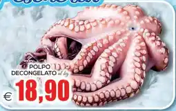 SuperOne Polpo decongelato offerta