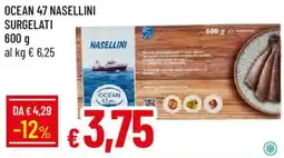 Galassia Ocean 47 nasellini offerta