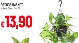 Galassia Pothos Basket offerta