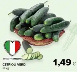 Tigre Amico Cetrioli Verdi offerta