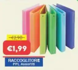 Huali Market Raccoglitore PPL Assortiti offerta