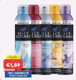Huali Market Felce Azzurra deo ambiente offerta