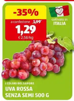 ALDI UVA ROSSA SENZA SEMI 500 G offerta