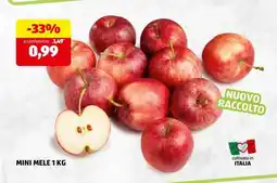 ALDI MINI MELE 1 KG offerta