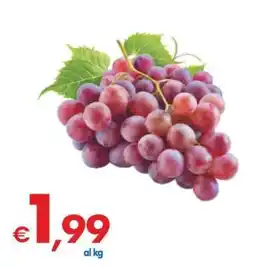 MD Discount Uva offerta