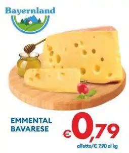MD Discount Emmental Bavarese offerta