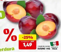 ALDI SUSINE 1 KG offerta