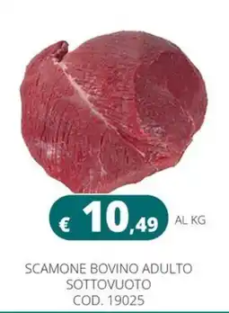 Altasfera Scamone bovino adulto sottovuoto offerta