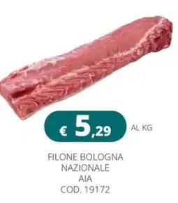 Altasfera Filone Bologna Nazionale AIA offerta