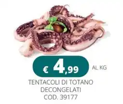 Altasfera Tentacoli di totano decongelati offerta