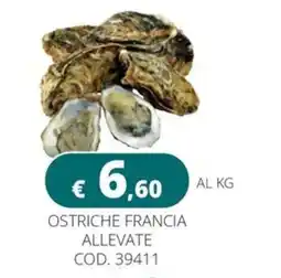 Altasfera Ostriche Francia Allevate offerta