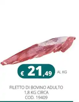 Altasfera Filetto di bovino adulto offerta