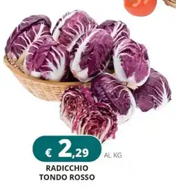 Altasfera Radicchio Tondo Rosso offerta