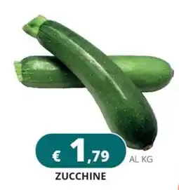 Altasfera Zucchine offerta