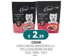 Altasfera Cesar croccantini manzo/pollo offerta