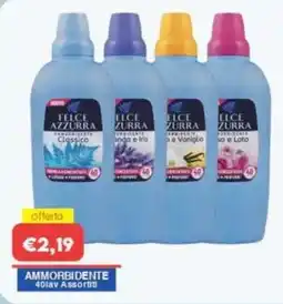 Huali Market Felce Azzurra Ammorbidente offerta