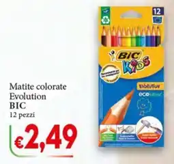 D'Italy Matite colorate Evolution BIC offerta