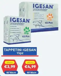Huali Market Tappetini Igesan offerta