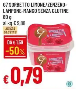 IperFamila G7 sorbetto lampone offerta