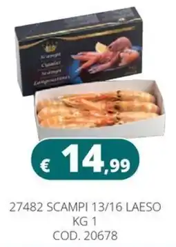 Altasfera Scampi 13/16 Laeso offerta