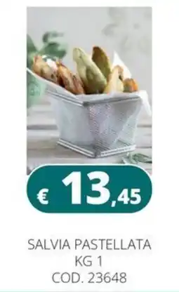 Altasfera Salvia pastellata offerta