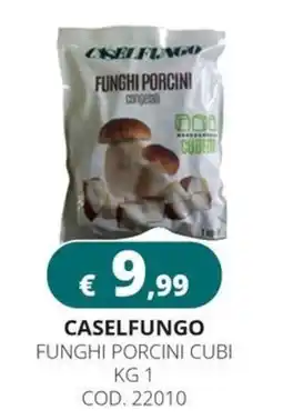 Altasfera Caselfungo funghi porcini cubi offerta