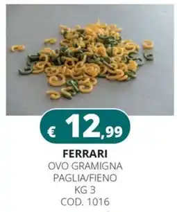 Altasfera Ferrari ovo gramigna paglia/fieno offerta