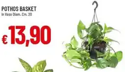 IperFamila Pothos Basket offerta