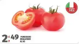Vivo Supermercati Pomodoro insalatario offerta