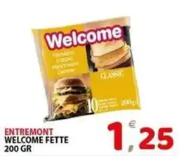 Il Centro Superstore Welcome fette classic offerta