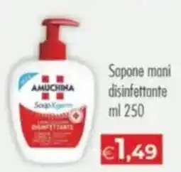 MerSi Supermercati Sapone mani disinfettante Amuchina offerta