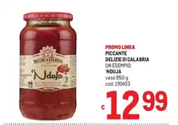 Metro Delizie di Calabria 'Nduja offerta