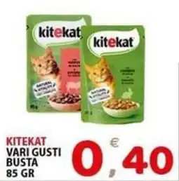 Il Centro Superstore Kitekat vari gusti busta offerta